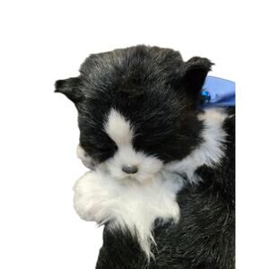 Perfect Petzzz Tuxedo Cat Black White Breathing‎ Realistic Plush Works